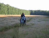 Перед отъездом домой.webp