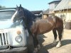 DSC04648.JPG