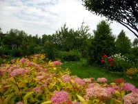 IMG_0002.webp
