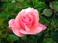 IMG_0001.webp