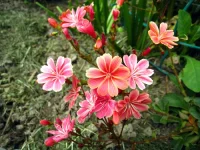 IMG_0009.webp