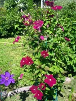 IMG_0020.webp