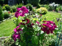 IMG_0022 (1).webp