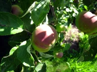 IMG_0028 (1).webp