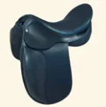 STDressage.webp
