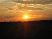 img_ 210.webp