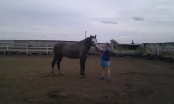 IMAG3070.webp