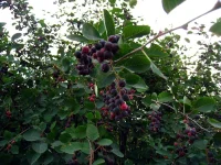 IMG_0279.webp