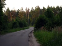 IMG_0264.webp