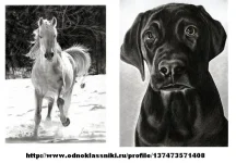 Рисунок простым карандашом.webp