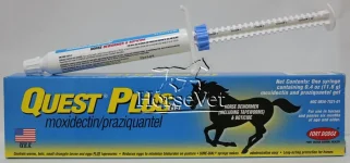 QuetstPlusGel-L.webp