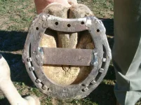 Foto-4_Ampliada.webp