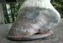 2012-07-14-163.webp