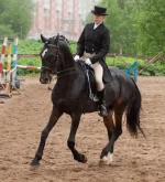 _MG_8054.webp