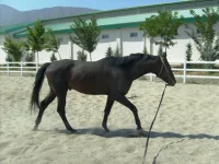 S6302577.webp