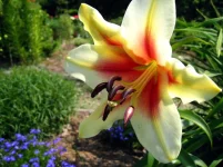 IMG_0660.webp