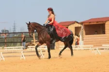 6apEhPsGPXc.webp