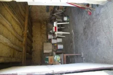 _305.webp
