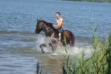 DSC00352.webp