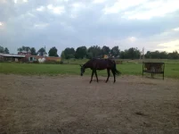 фотография5.webp