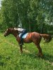 3C804441-0D40-4F9B-ABBE-EE24528FE977.jpeg
