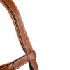 6001-ikonic-bridle-anatomic-headpiece.jpg 6001-ikonic-bridle-anatomic-headpiece.jpg