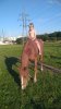 IMG-20180524-WA0020.jpg