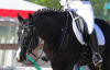 jerebets_bolshoy_pri_122907_854_b.png