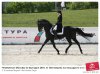 chempionat-moskvy-po-vyezdke-2010-n-pitomtseva-na-0001810181-preview.jpg