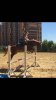IMG-20180529-WA0001.jpg