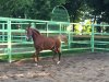IMG-20170625-WA0001.jpg