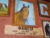 DSCN1748.JPG