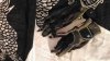 P_20180730_113210_LL.jpg