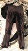 P_20180730_113111_LL.jpg