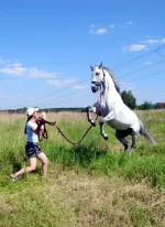 DSCN0186.webp