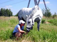 DSCN0189.webp