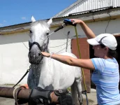 DSCN0136.webp