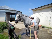 DSCN0144.webp