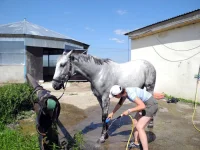 DSCN0145.webp