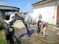 DSCN0148.webp