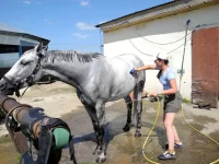 DSCN0149.webp
