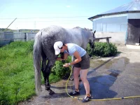 DSCN0160.webp