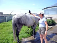 DSCN0161.webp