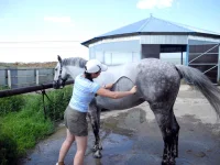 DSCN0167.webp