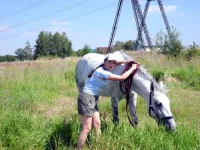DSCN0188.webp