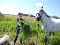 DSCN0194.webp