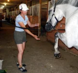 DSCN0221m.webp