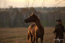 OLdNCJ3iFm8.webp