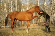 QlY1ZBw0520.webp