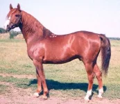 0722_9~пломбир1.webp